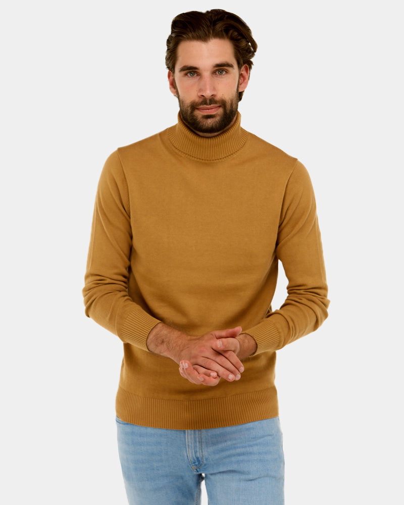 Roll Neck Knit Sweater