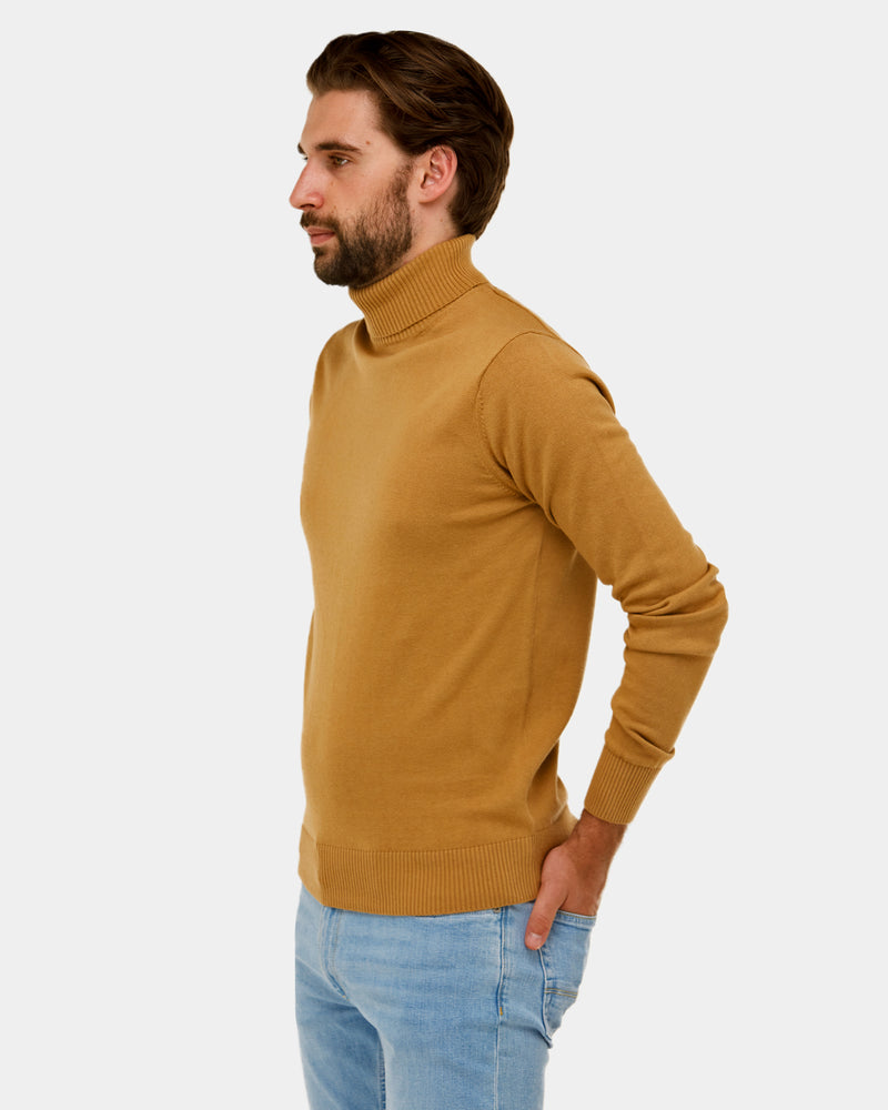 Roll Neck Knit Sweater
