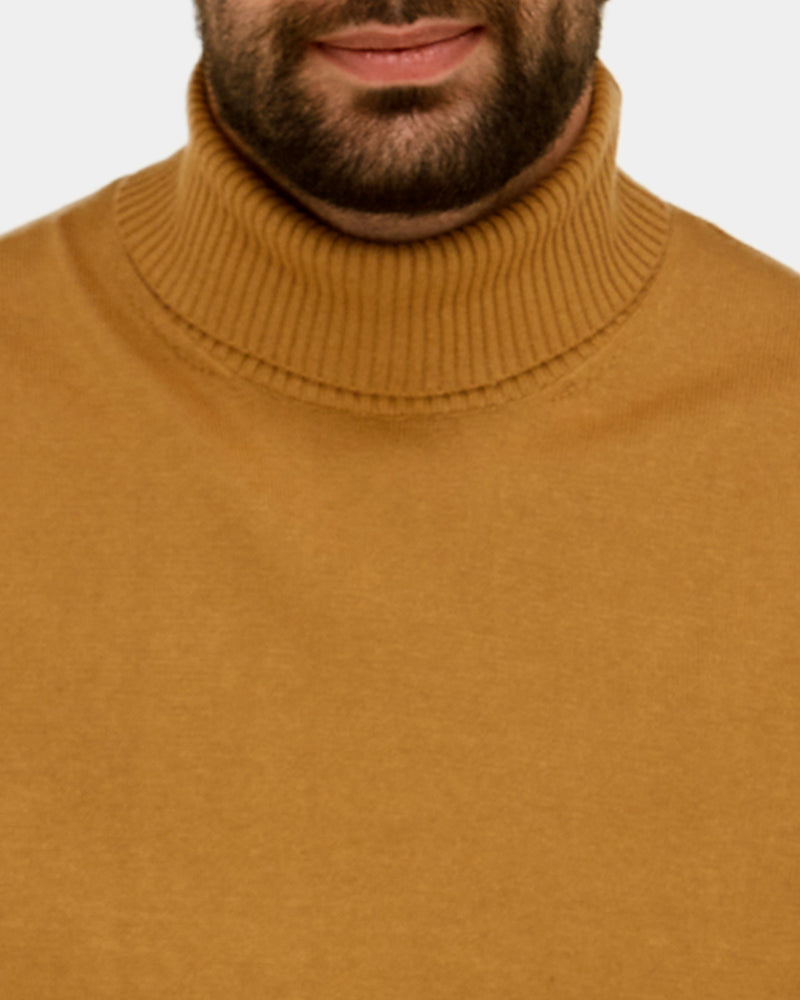 Roll Neck Knit Sweater
