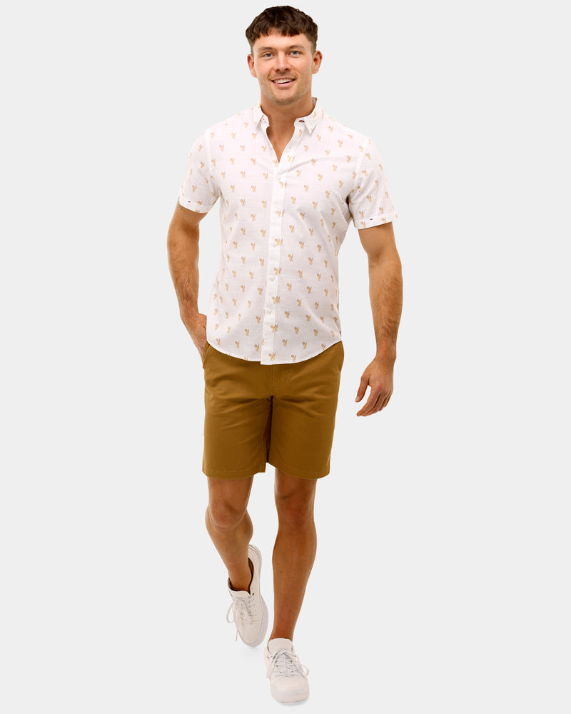 Cotton Stretch Casual Shorts